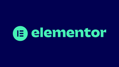 Elementor Test 2024