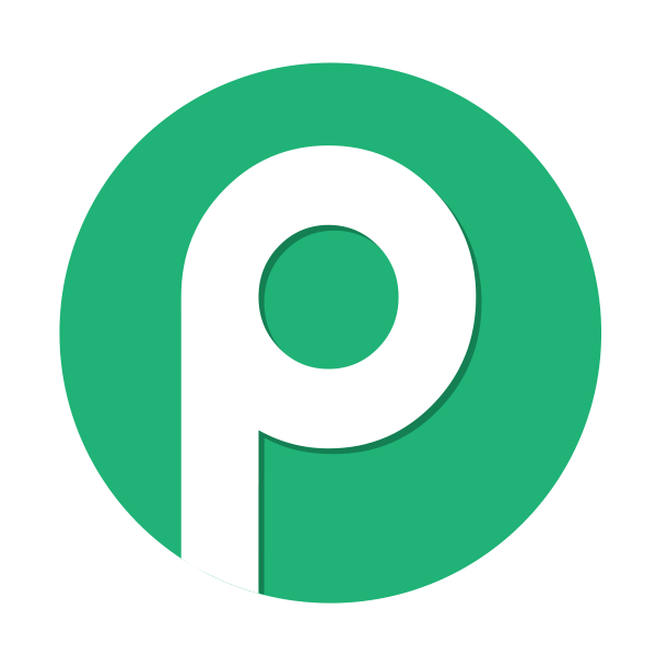 Pabbly Connect Icon Logo
