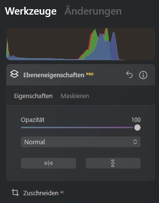 Arbeiten mit Ebenen in Luminar Neo
